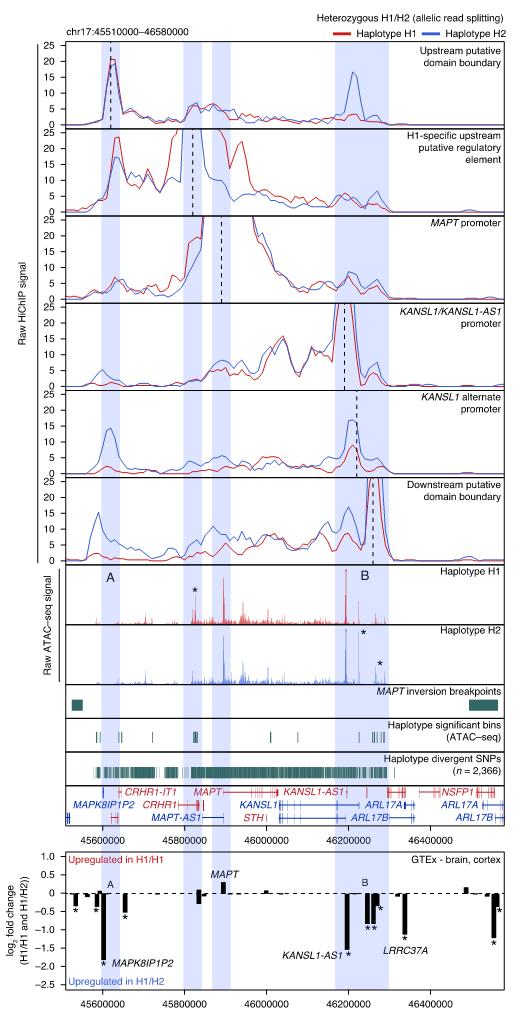 「长文解读」NatGenet︱阿尔茨海默症和帕金森病的单核苷酸多态性研究,揭示两种疾病的遗传风险位点的变异