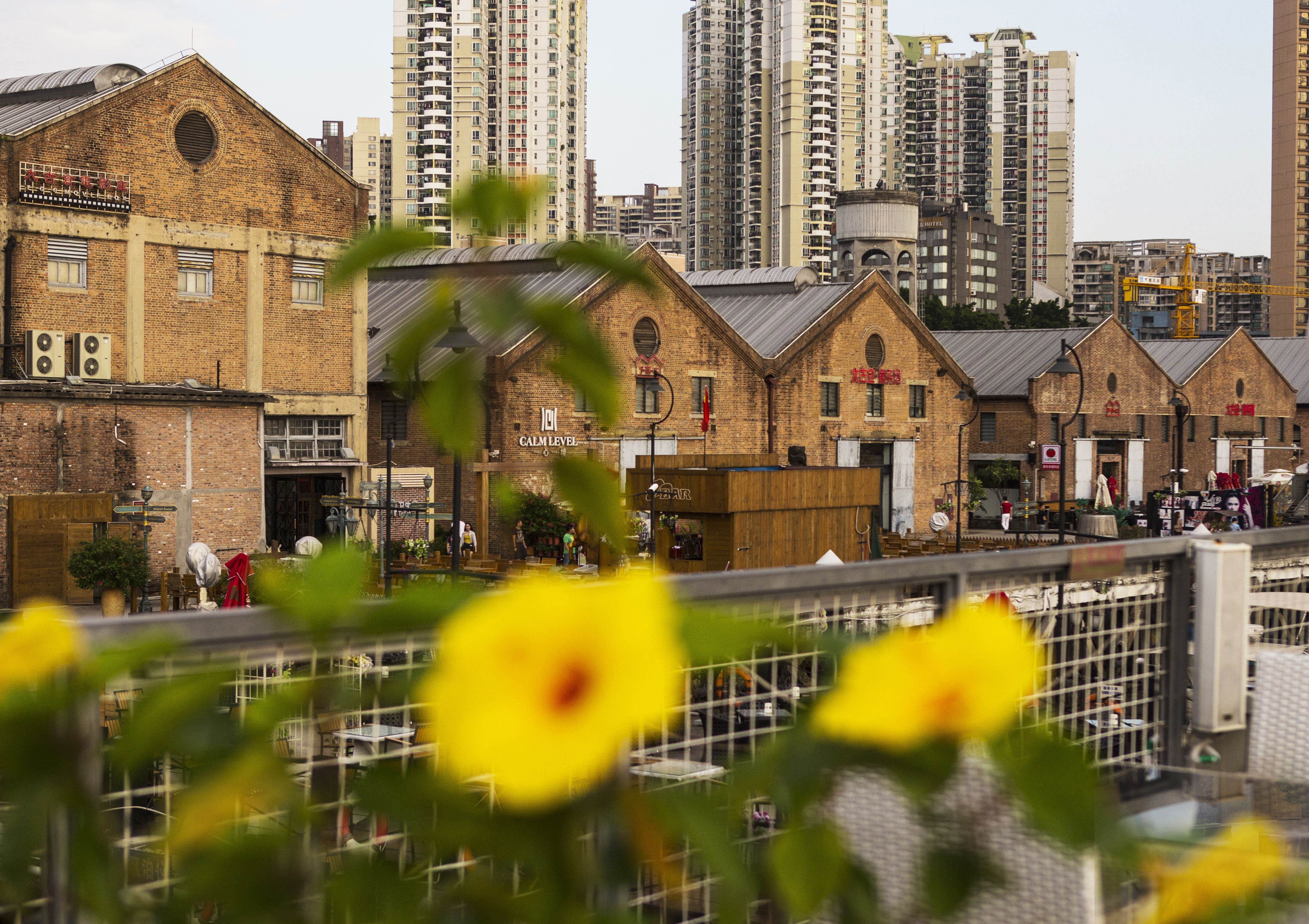 南方观察｜百年太古仓，十年奋斗记