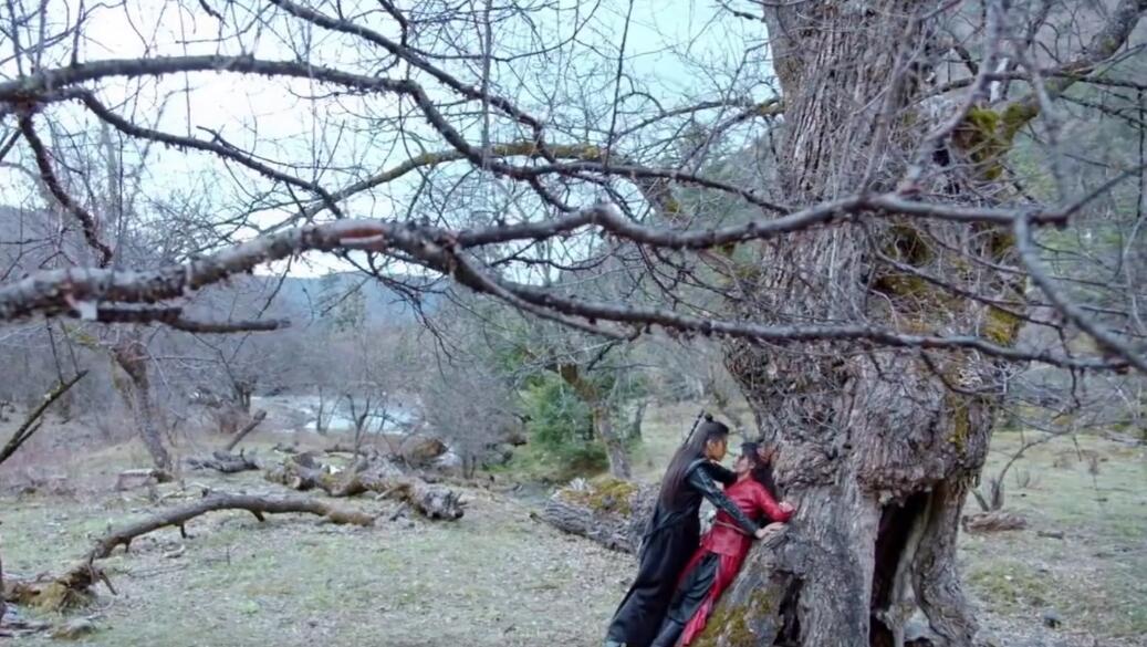 王大陆吞灯泡,王大陆乌鸦嘴