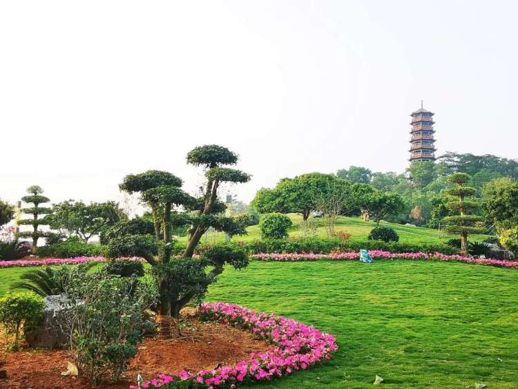 深圳光明新区坚持绿色发展,深圳市光明绿色新城建设