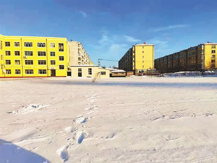 尚志死牛事件结果,尚志市死亡事件