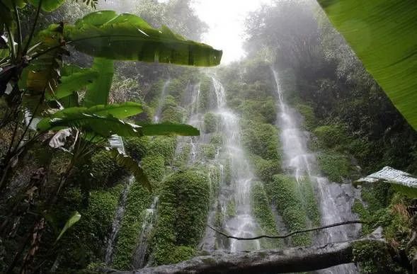 一年一度千年瑶寨盘王节,盘王节欢迎您
