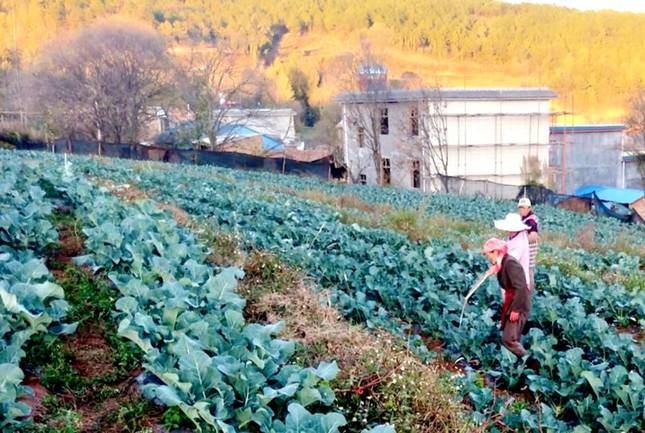 宣威市西宁街道办事处,宣威西宁街道的规划