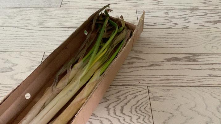 这世界上真有在拼夕夕购物而不翻车的人吗？