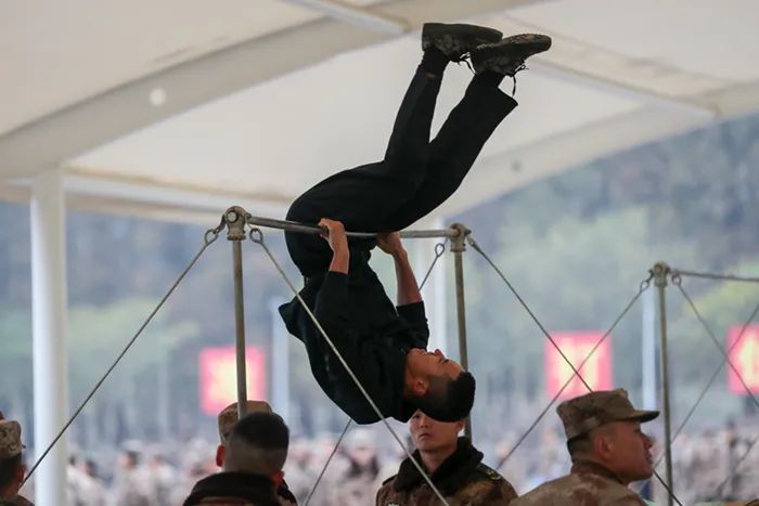 寒风中彼此鼓励,寒风中它们依然是城市的守护者