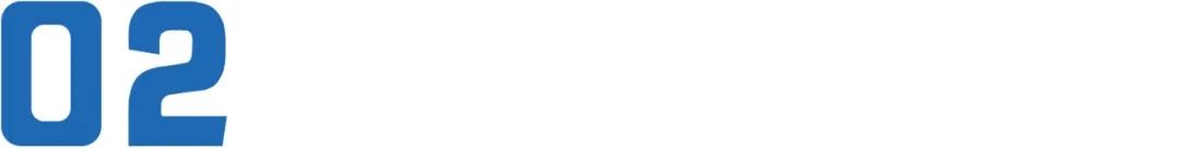 日本恶女电影解说,日本第一黑帮之女