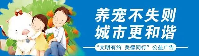 申请客运资格证要什么驾驶证,申请客运从业资格证