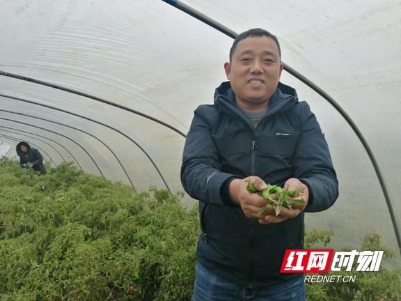 益阳乡村振兴故事,益阳农业现代化