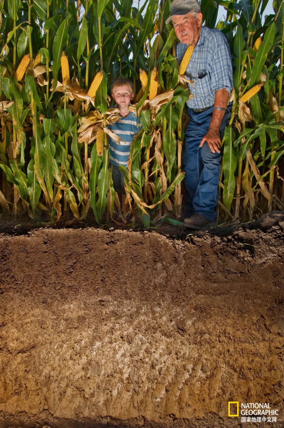 土这种物质，可太冤了