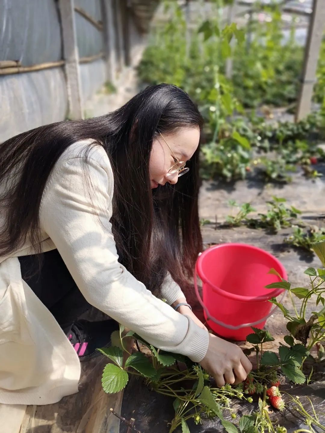 向优秀青年看齐,向优秀的人才们看齐的表现