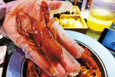 小龙虾店铺怎么养不会死,小龙虾摆摊如何保温保存