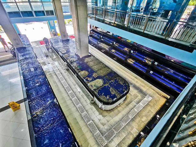 三亚海棠湾希尔顿攻略,三亚湾亚龙湾旅游攻略