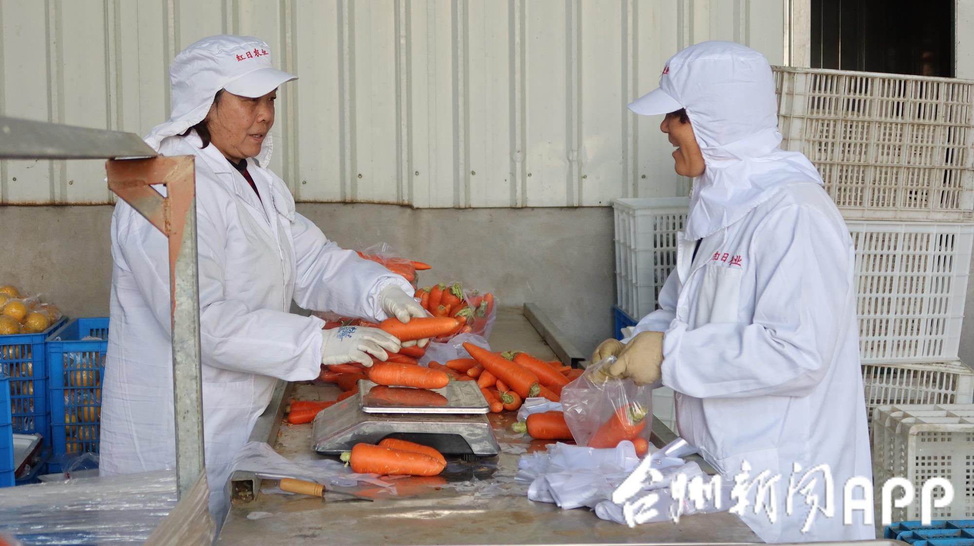 涓浗涓夊啘缃戣嚧瀵岀粡,涓浗鍐滀笟缃戣嚧瀵岀粡