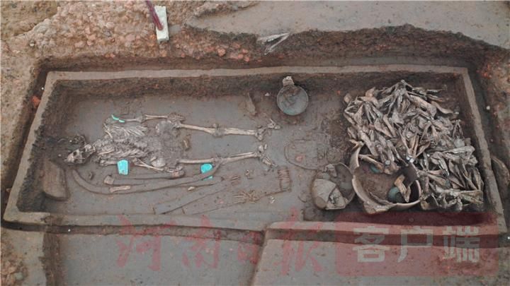 南阳黄山遗址最新发现,南阳黄山遗址发掘进展