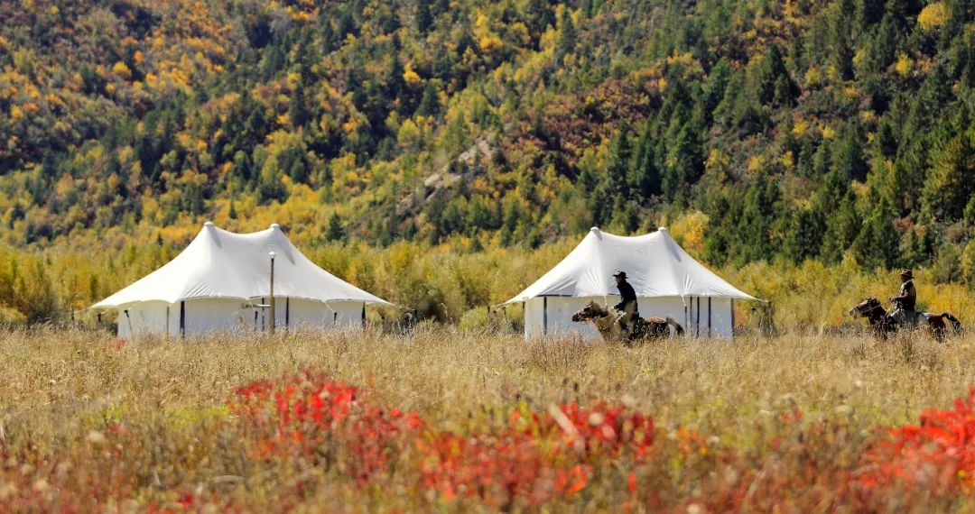 2018年度最佳酒店 (今年最值得去的酒店排名)