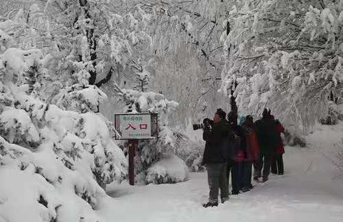 宝鸡站2018年春运,宝鸡春运啥时候结束