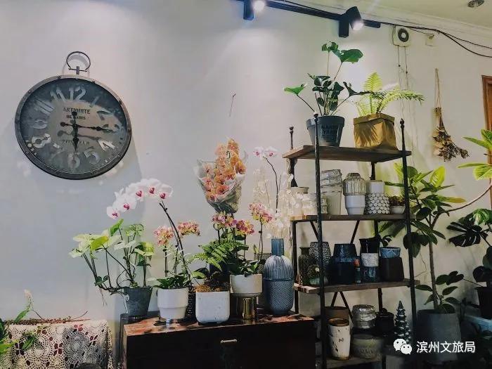 「滨城区」莫染咖啡、南蒲院子……2020年,滨州这100个网红打卡地你都去过吗?