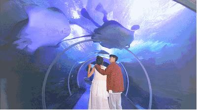 嗨游青岛享悦冬季|美妙的科创海洋之旅，解锁冬日遛娃新玩法！（文末福利）