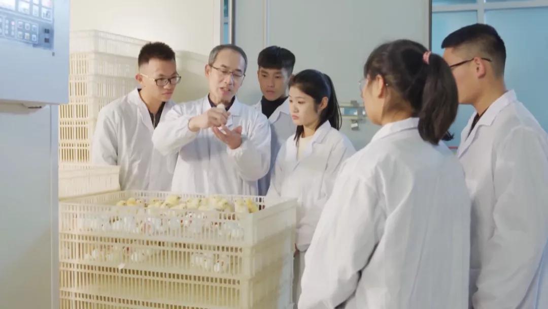 山东畜牧兽医职业学院是什么,揭秘山东畜牧兽医职业学院