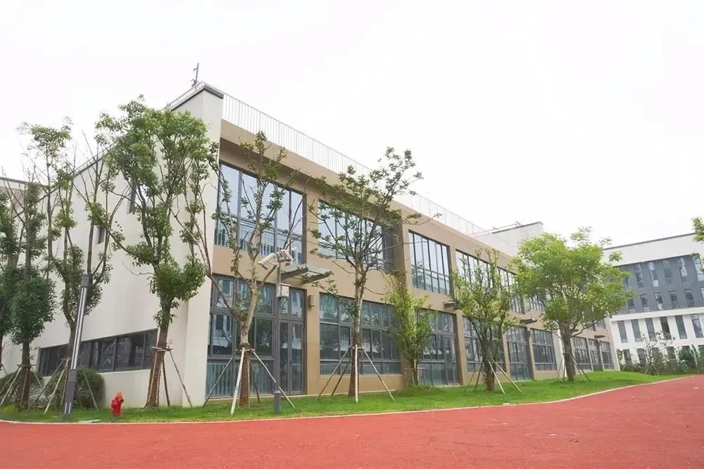 狮山新开一条道路,狮山直达龙华