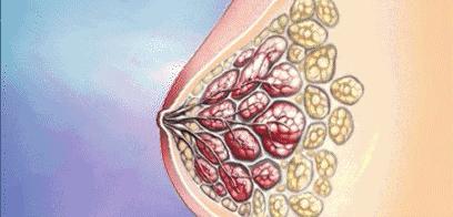 有什么方法可以丰胸不用丰胸产品,其实丰胸很简单呀