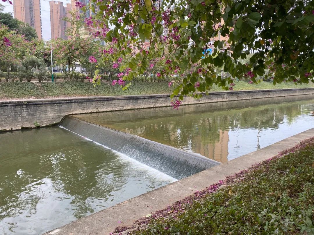 鍏卞缓灞辨竻姘寸瀹跺洯鍥剧墖,鍏卞缓灞辨竻姘寸瀹跺洯瑙勫垝