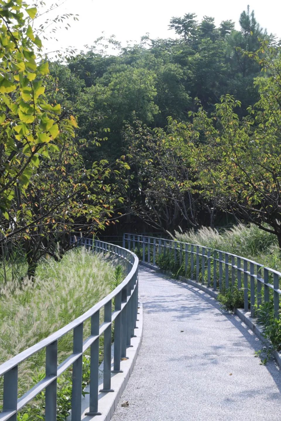 缓解城市热岛效应的措施,缓解城市热岛效应的有效建议