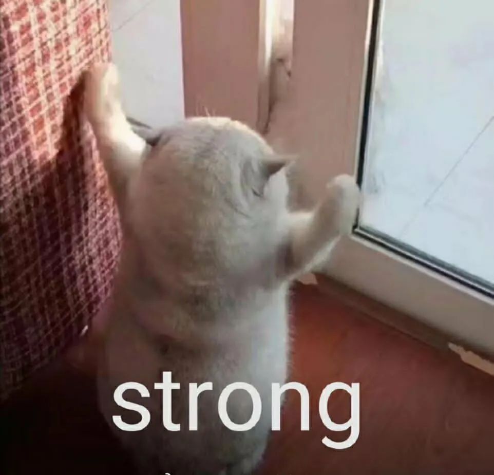 你们的老师又去比赛了！所有第一名都拿到手！12个人拿了11个一等奖