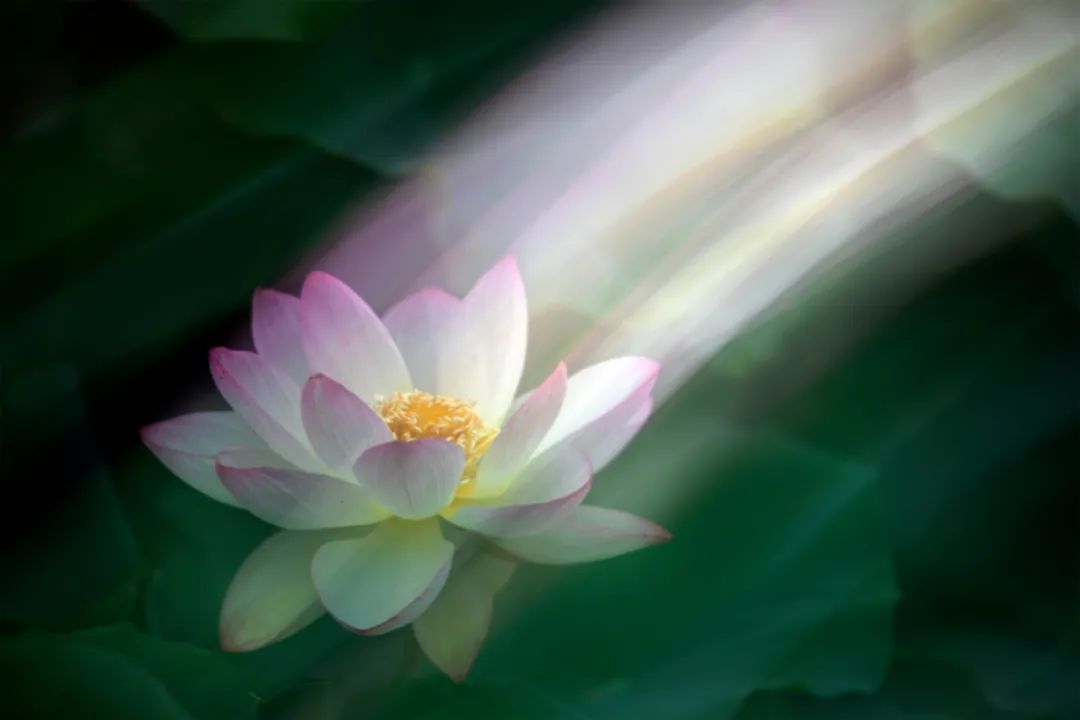 漫谈相对论合集,圆明园圆明时光