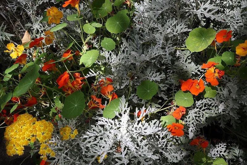 佳能eosr5c评测,佳能eos5dmarkiii