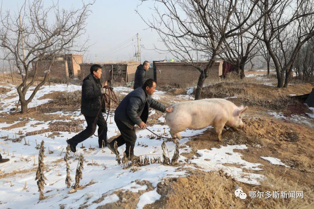 室外柴火灶带锅,柴火灶炒菜做饭