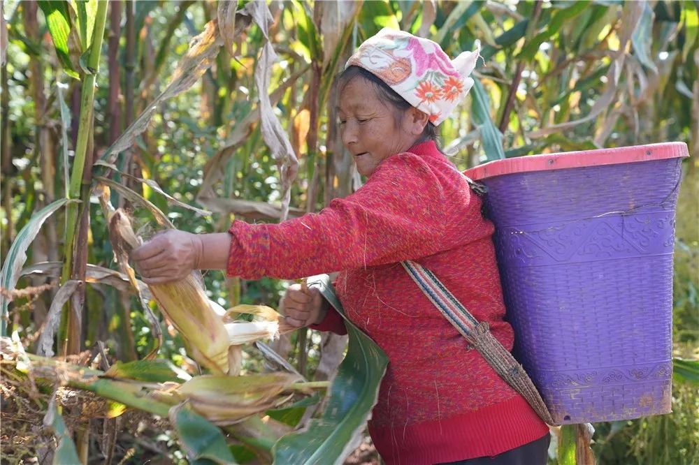 天府人物推介结果,天府人物推介榜