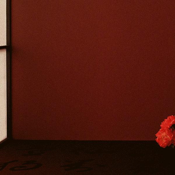 流金岁月中的包,流金岁月小众包