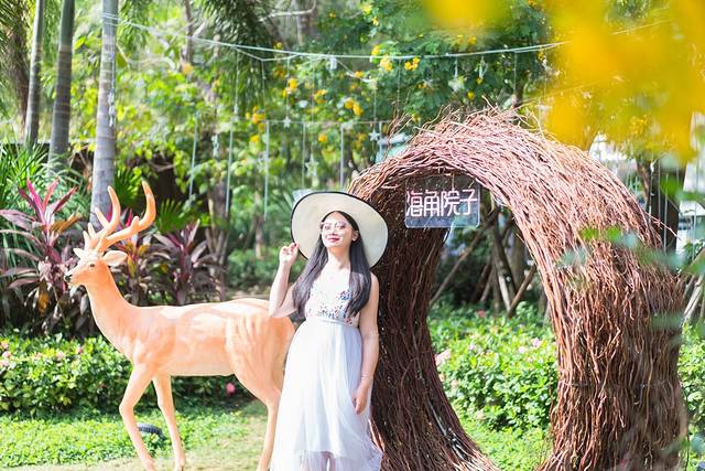 12月底三亚旅行攻略,12月份三亚自由行攻略