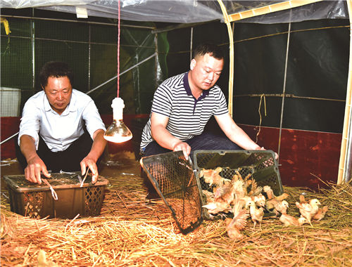 安居乐业幸福长——2020年蓝山县创新发展纪实