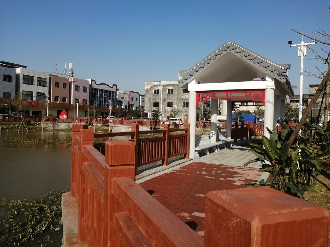 东凤公园最新通知,东凤公园今天最新视频