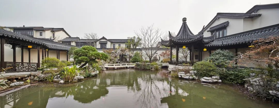 绿城有多厉害,18年浙江绿城