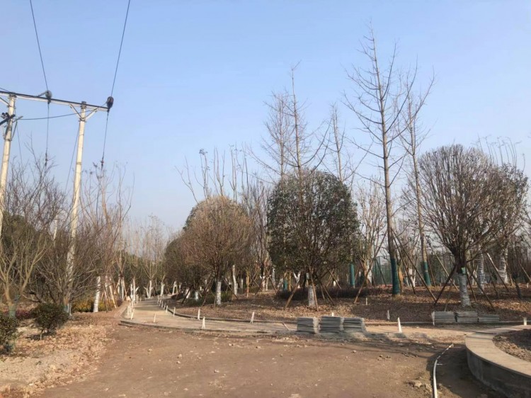 高家坝足球公园什么时候完工,高家坝足球公园足球场对外开放吗