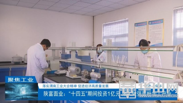 陕富面业发展趋势,陕西陕富面业产量