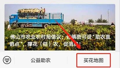 佛山今年哪里有花市,佛山市内哪里有年花批发