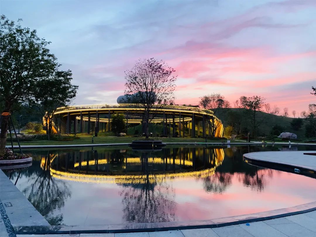 [春节留深]龙华游园攻略之民治街道篇