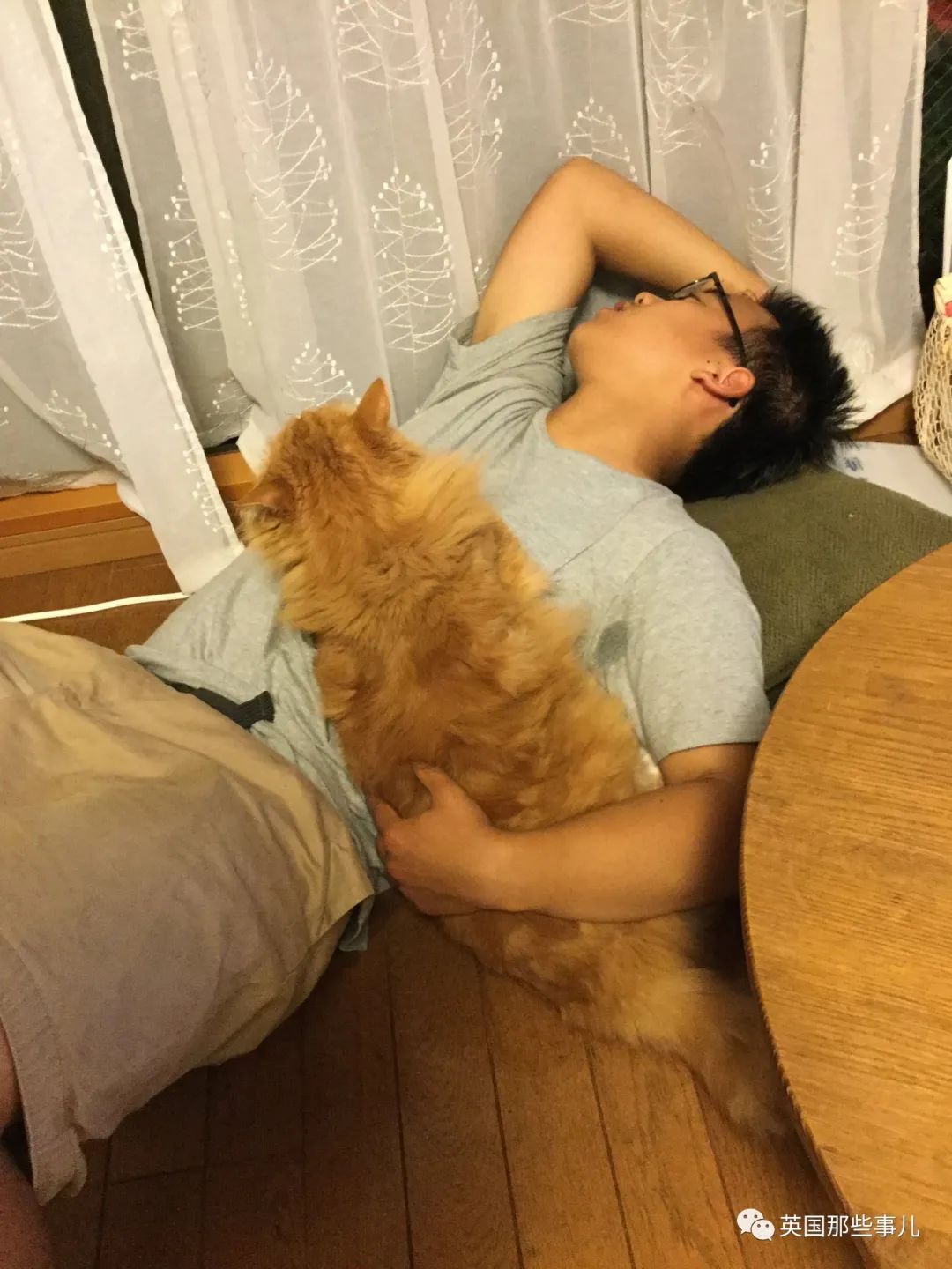 捡到小奶猫变身成男神,捡回来的小奶猫