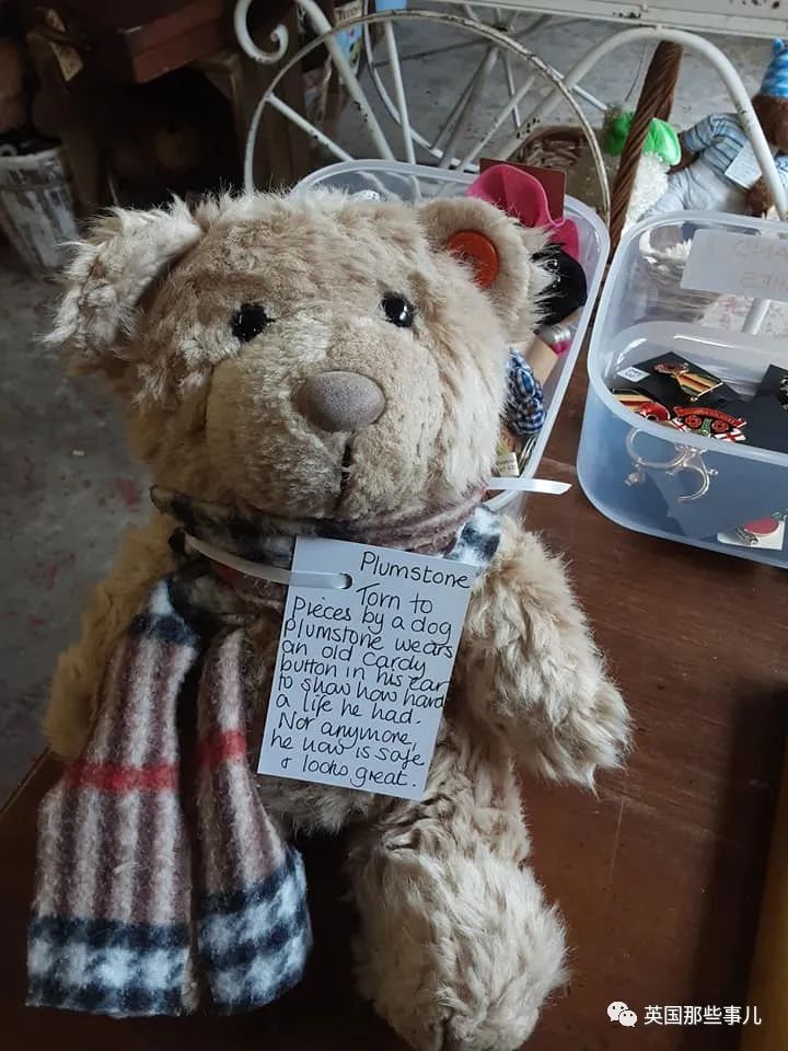 泰迪熊治愈,治愈泰迪熊