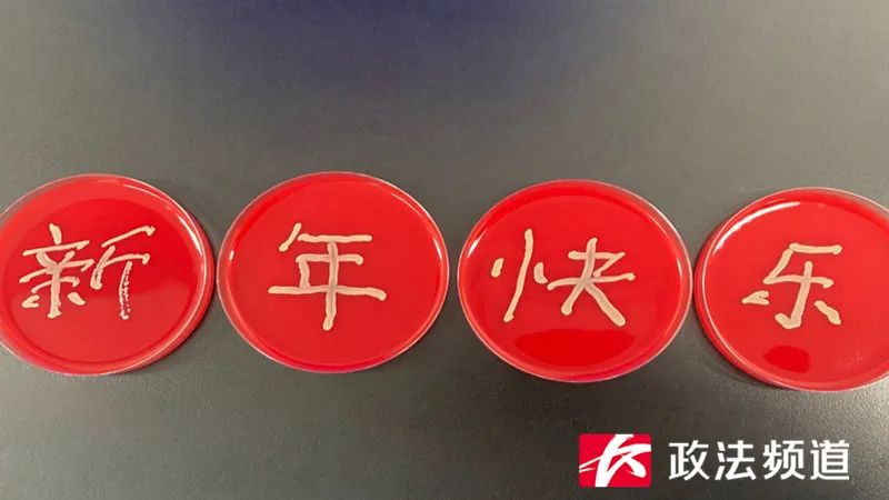 脑洞大开！用细菌作画你见过吗？长沙90后医生做到了