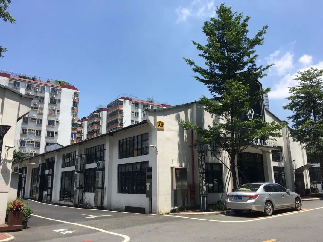 花城政能量丨有干货!海珠区这么做,村民经济效益大提升