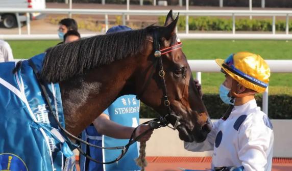 世界马匹年终排名出炉，中国香港“金枪六十”跻身前十