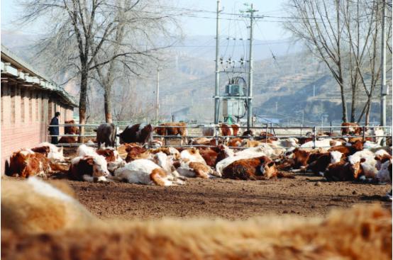 一业兴带百业兴,一业兴带动百业兴