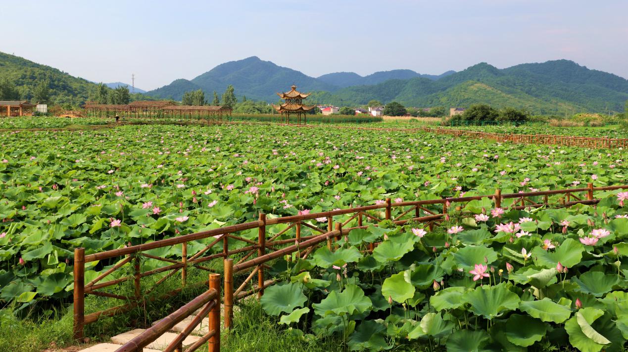 彭泽黄岭乡新春村,新春走基层英山