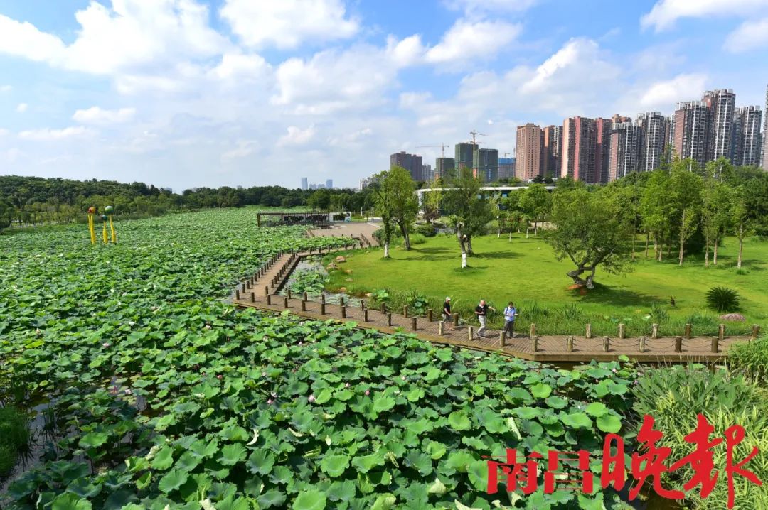 你不知道的南昌周边美景,南昌风景超好的地方