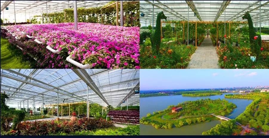 带你看盐城风景,牛年看牛展2021新春展等你来打卡